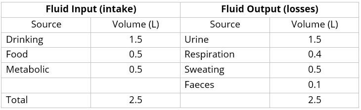 ebm-consult-maintenance-fluid-calculator