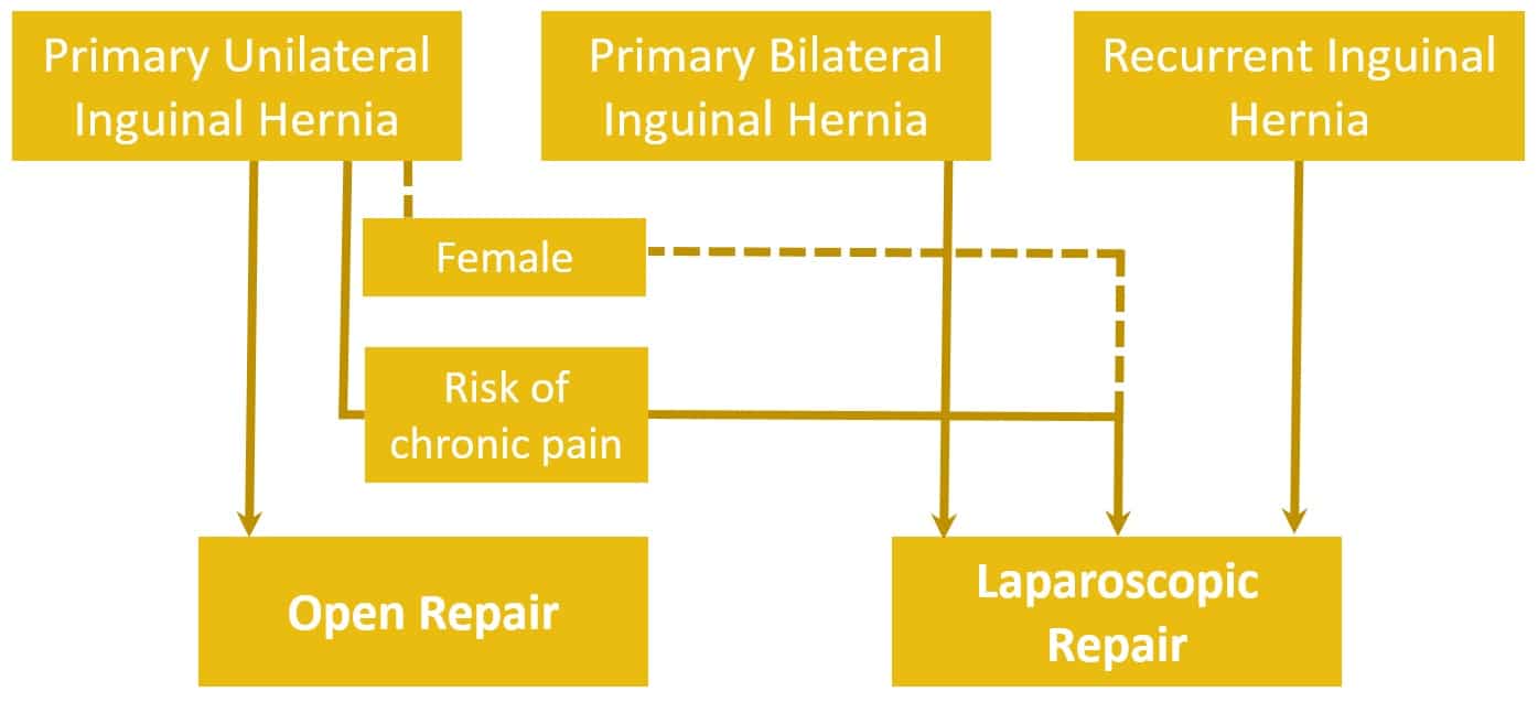 Fig 4 - Inguinal hernia treatment algorithm