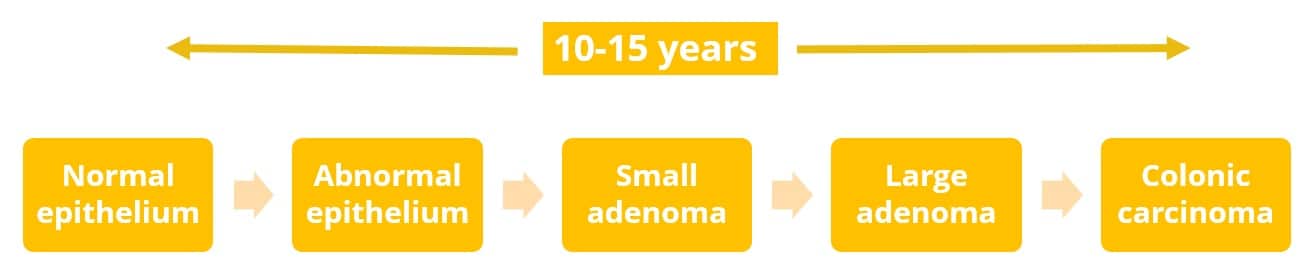 Fig 1 - The adenoma-carcinoma sequence.