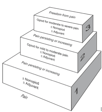 Fig 1 - The WHO pain relief ladder, commonly used in the management of pain due to cancer.