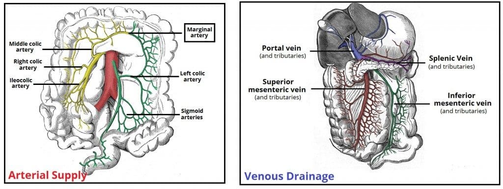 Rectal Bleeding - TeachMeSurgery