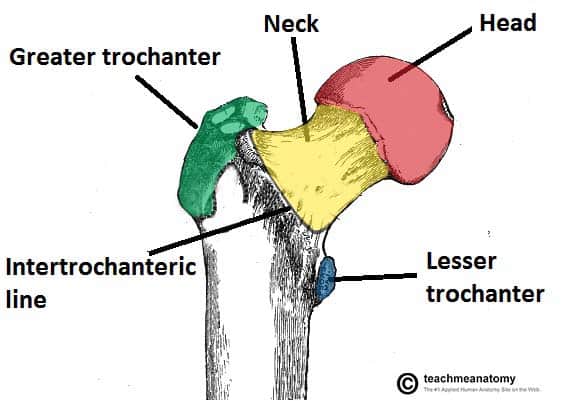 right femoral neck fracture